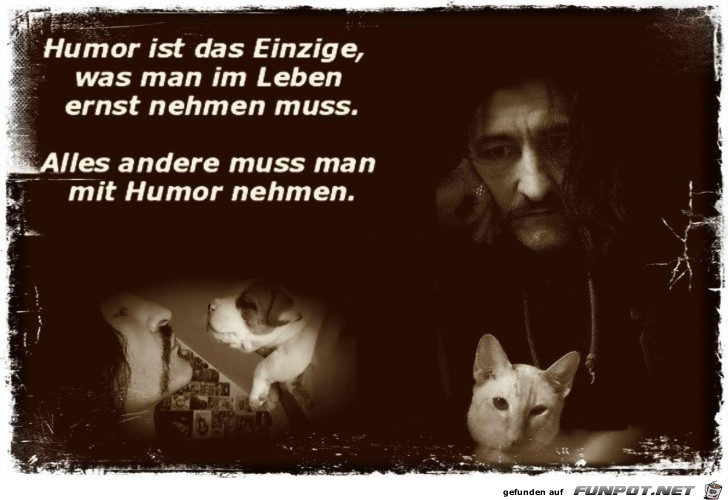 humor ist das einzige humor ist das einzige