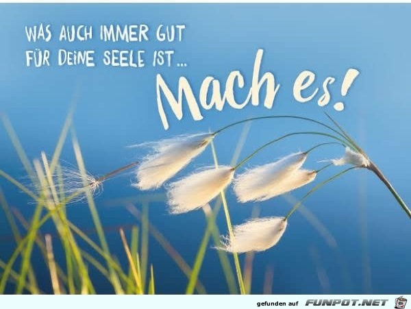 was auch immer gut was auch immer gut