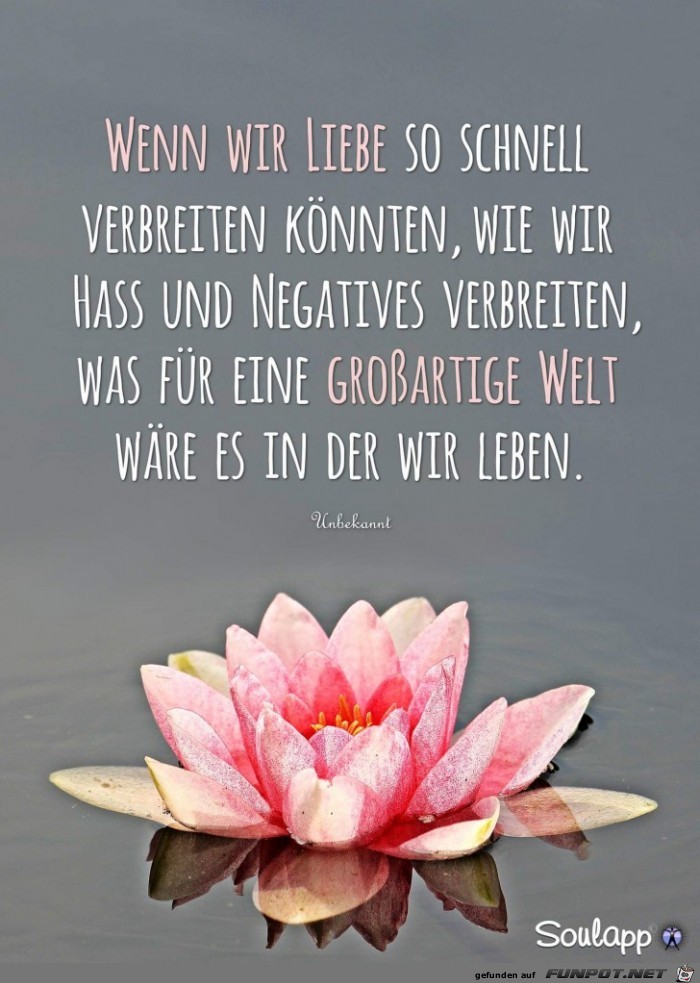wenn wir Liebe wenn wir Liebe