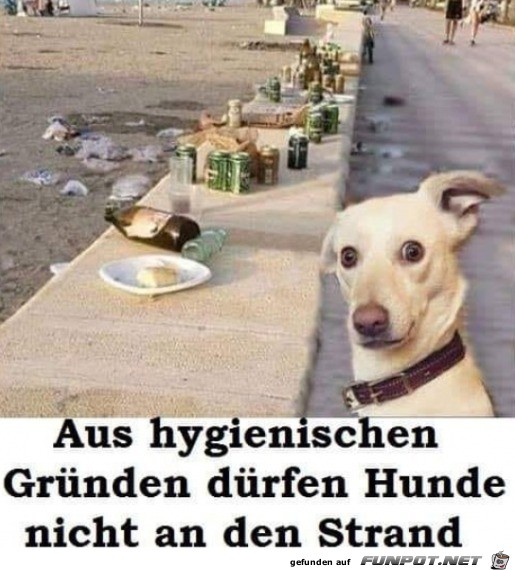 Dieser Blick Dieser Blick