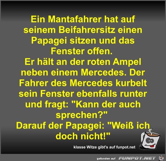 Ein Mantafahrer hat auf seinem Beifahrersitz einen Papagei Ein Mantafahrer hat auf seinem Beifahrersitz einen Papagei