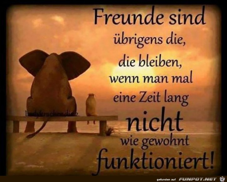 Freunde sind übrigens die, die bleiben,.......