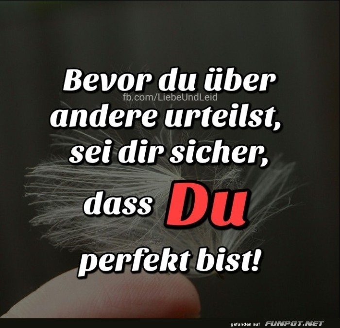 10 sch�ne Spr�che und Lebensweisheiten aus...