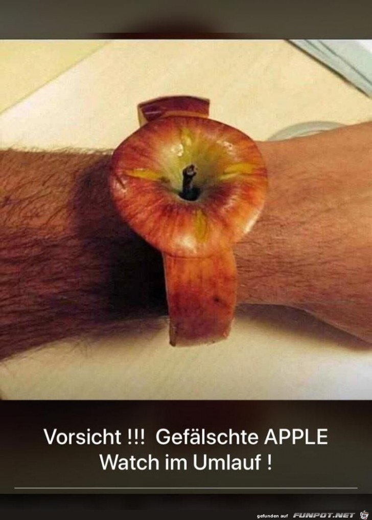 Faelschung Faelschung