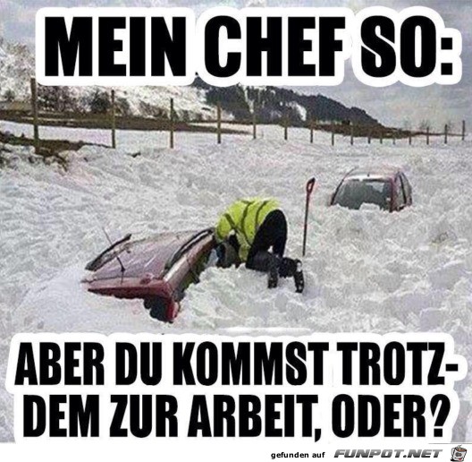 Zur Arbeit kommen