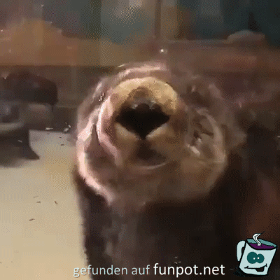 Ich bleib hier Ich bleib hier