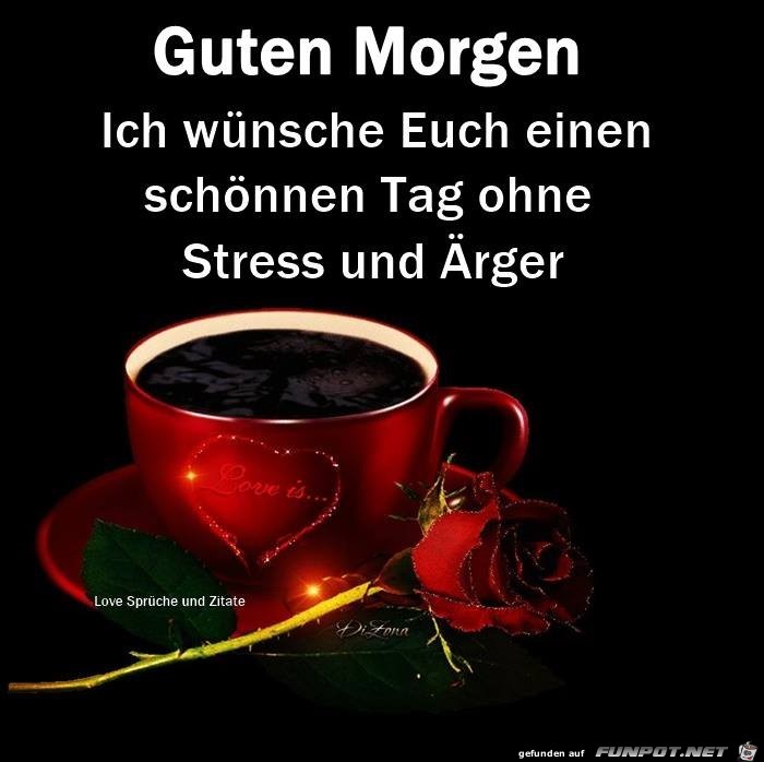 Guten Morgen