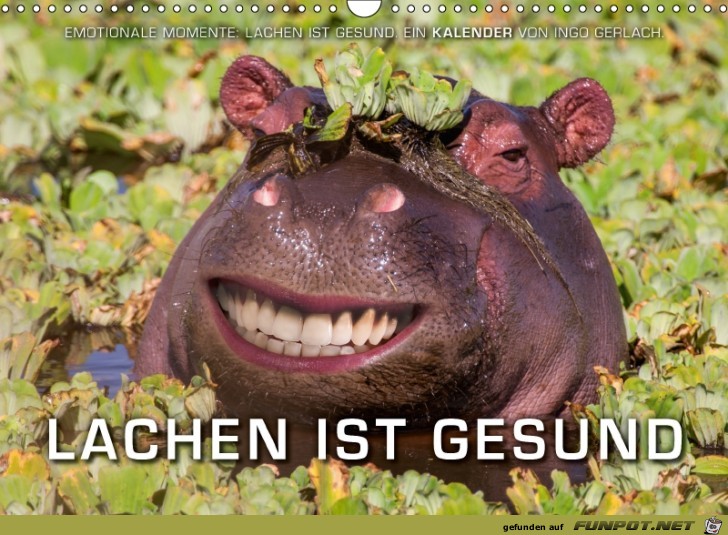 Lachen ist Gesund