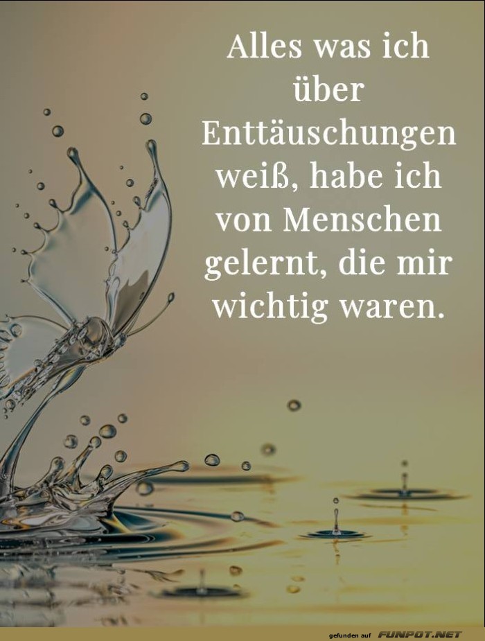 10 sch�ne Spr�che und Lebensweisheiten aus...
