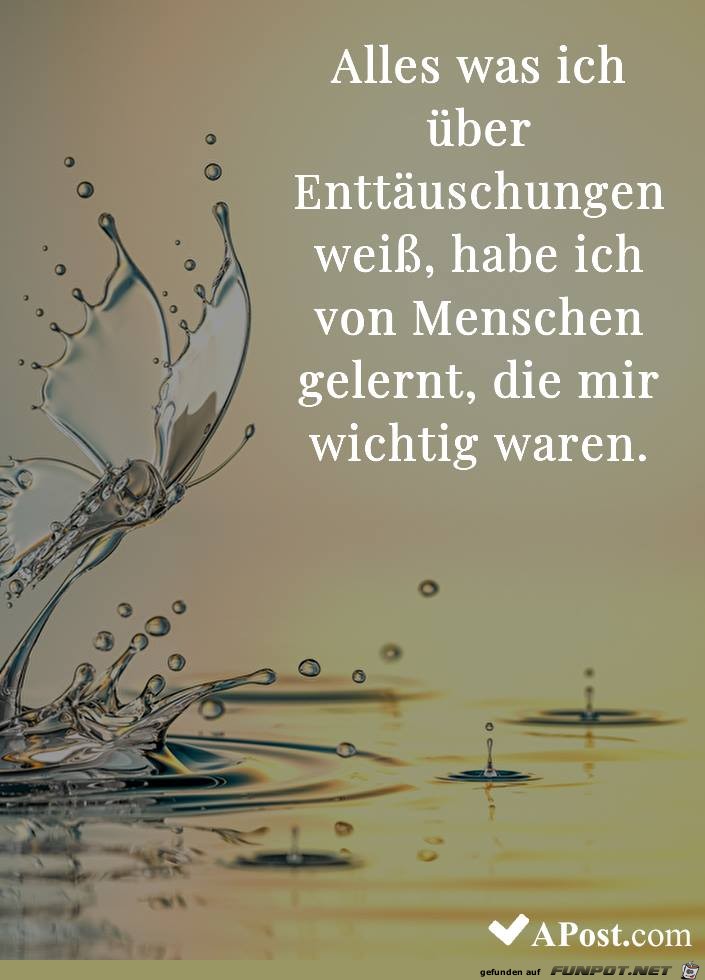 Alles was ich ueber Enttaeuschung weiss Alles was ich ueber Enttaeuschung weiss