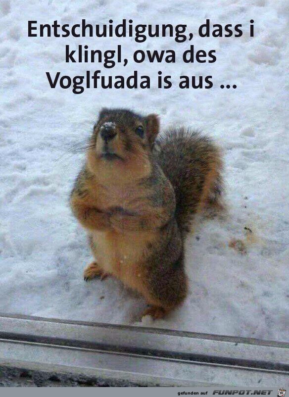 kein Vogelfutter kein Vogelfutter