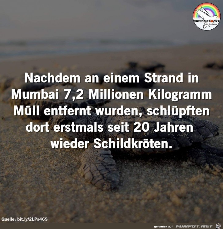 nachdem an einem Strand