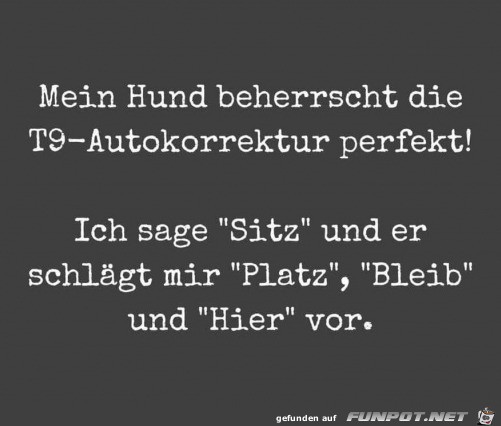Der Hund Der Hund