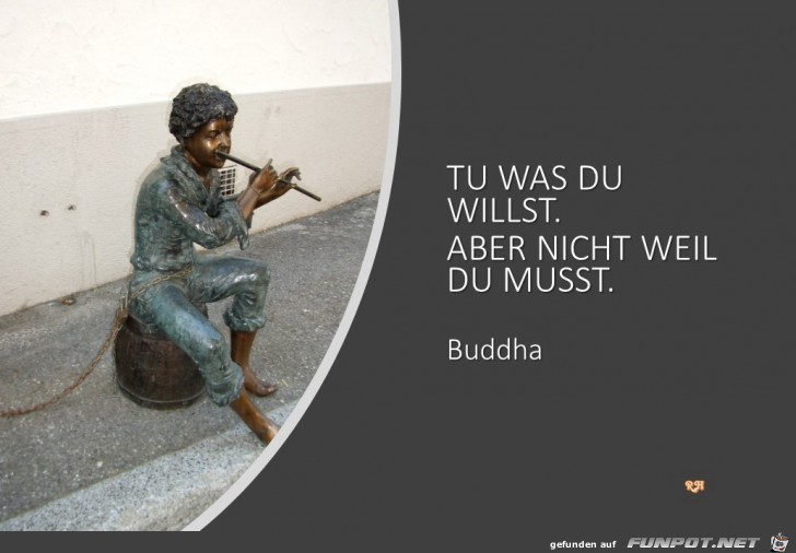 tu was du willst a tu was du willst a