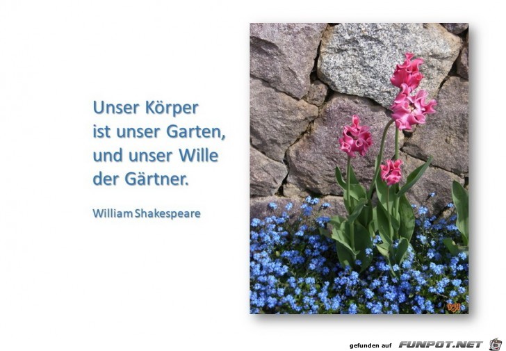 unser Koerper ist unser Garten