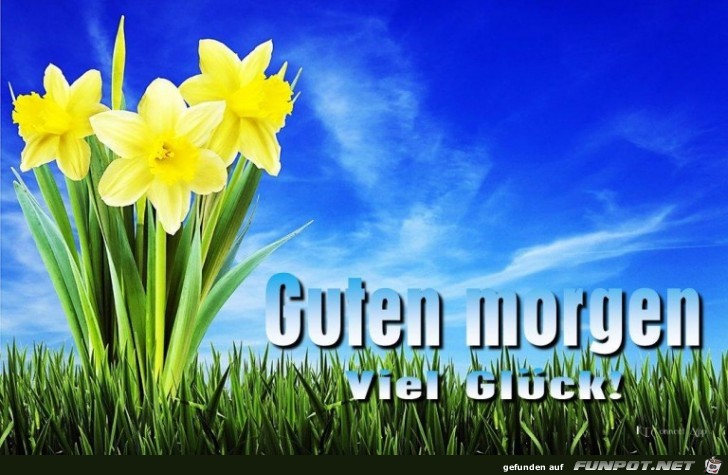 Guten Morgen Guten Morgen