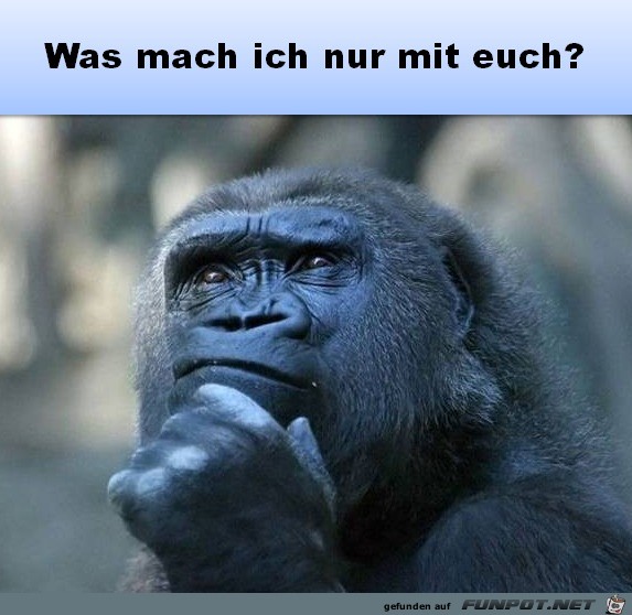 Was mach ich nur Was mach ich nur
