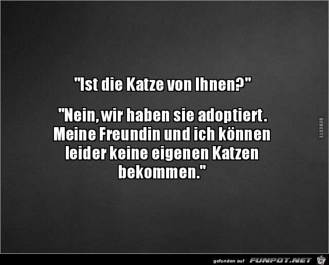 ist die Katze von ihnen? ist die Katze von ihnen?