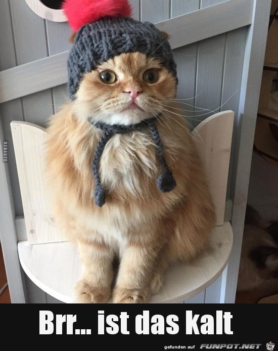 Brrr... ist das kalt...... Brrr... ist das kalt......