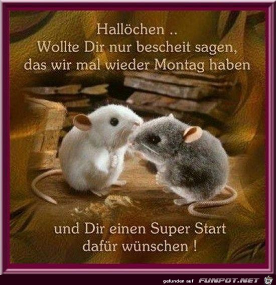 Hallöcchen!....... Hallöcchen!.......