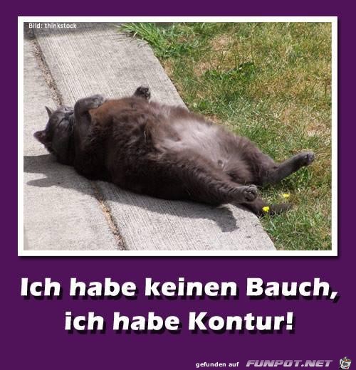 Hab keinen Bauch Hab keinen Bauch