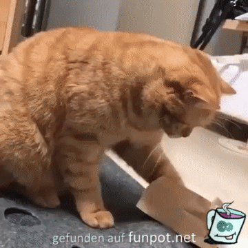 Gefällt mir Gefällt mir