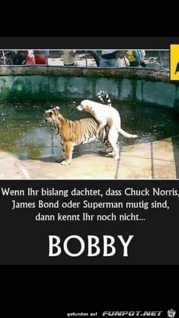 Mustig Mustig