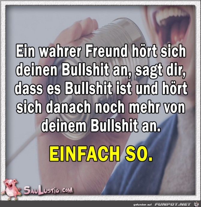 Ein-wahrer-Freund-hoert-sich-Deinen-Bullshit-an Ein-wahrer-Freund-hoert-sich-Deinen-Bullshit-an