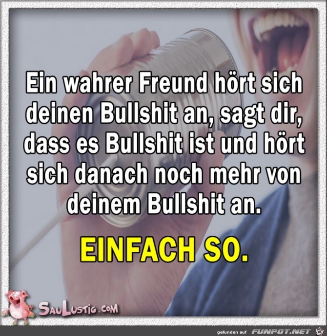 Ein-wahrer-Freund-hoert-sich-Deinen-Bullshit-an