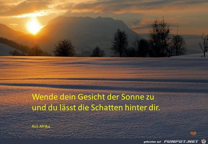 Wende dein Gesicht der Sonne zu