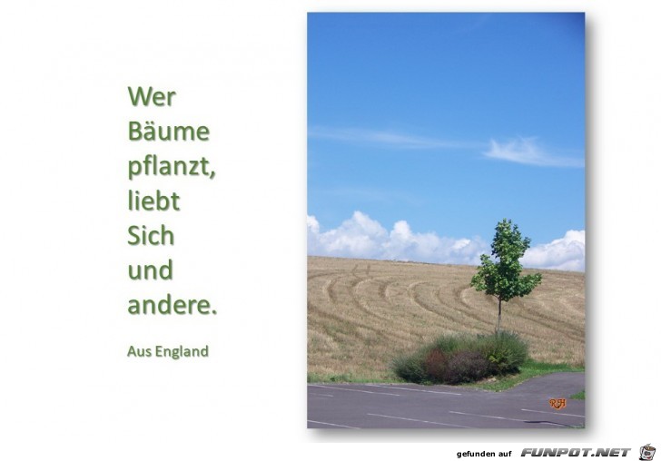 wer Baeume pflanzt wer Baeume pflanzt