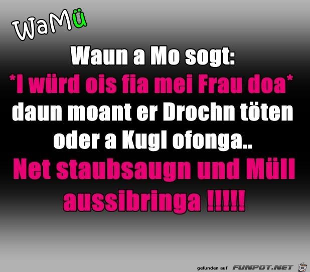 net staubsaugn net staubsaugn