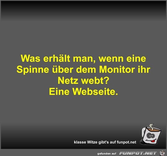 Was erhlt man, wenn eine Spinne ber dem Monitor ihr Netz