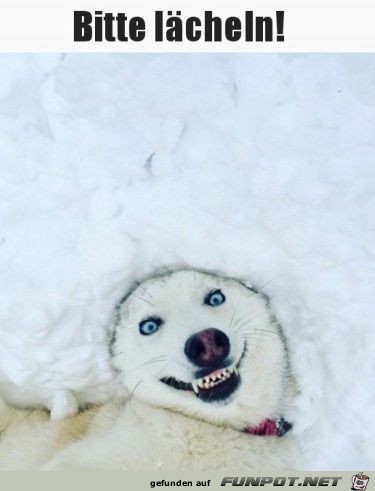 Bitte lächeln!....... Bitte lächeln!.......
