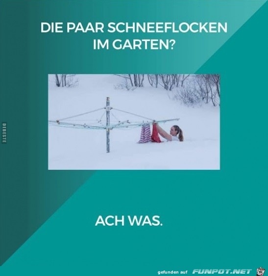 die paar Schneeflocken........