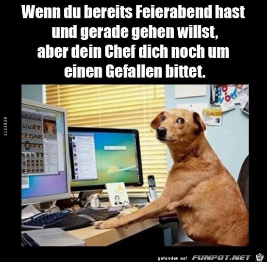 wenn du bereits Feierabend hast........