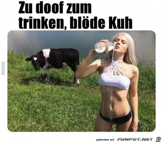 zu doof zum trinken.......