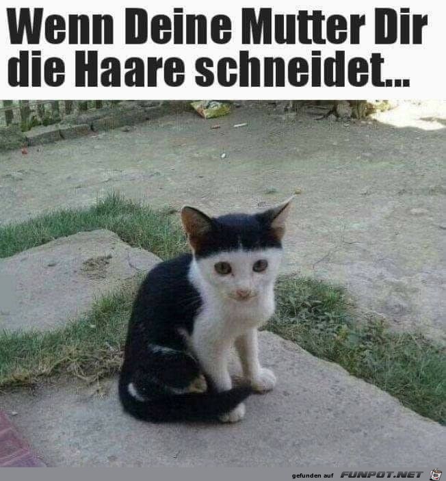 Prinz-Eisenherz-Frisur Prinz-Eisenherz-Frisur