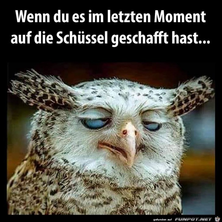 Gerade noch rechtzeitig Gerade noch rechtzeitig