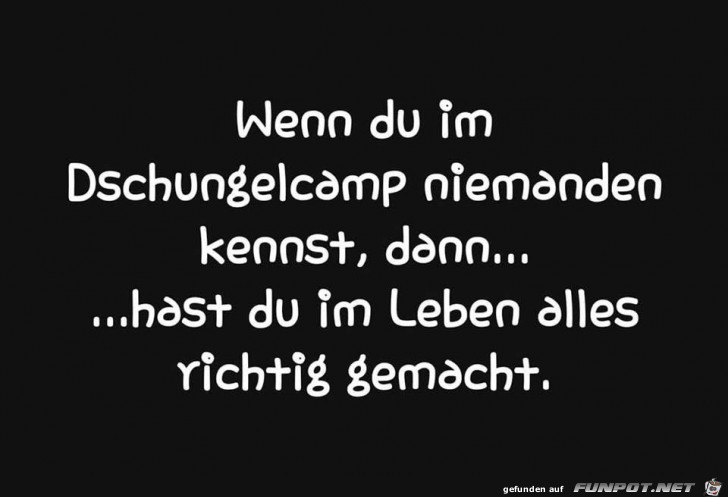 Dschungelcamp Dschungelcamp