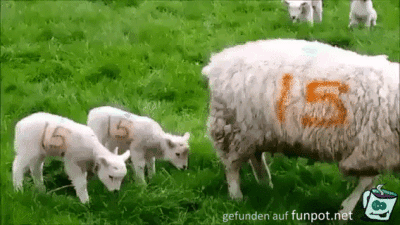 Falsche Zeit falscher Ort Falsche Zeit falscher Ort