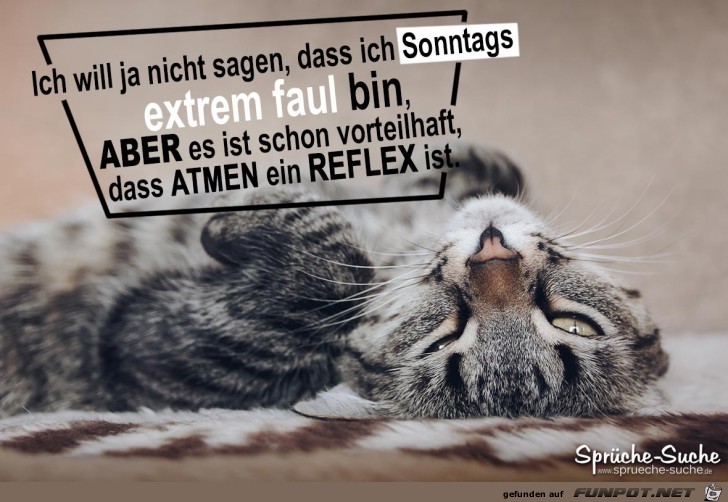 Will ja nicht sagen Will ja nicht sagen