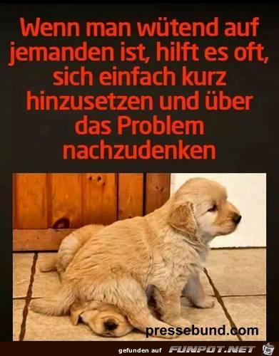 Wenn man wuetend ist Wenn man wuetend ist