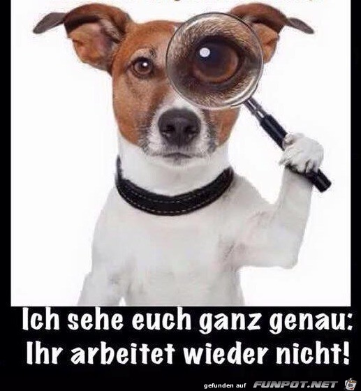 Ich sehe euch Ich sehe euch