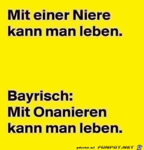 eine Niere eine Niere