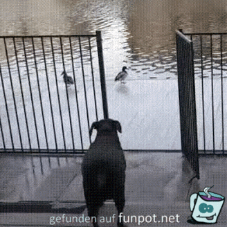 Rutschig Rutschig