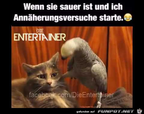 Wenn sie sauer ist Wenn sie sauer ist