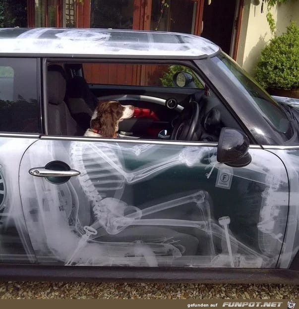 Geile Autos vier Geile Autos vier