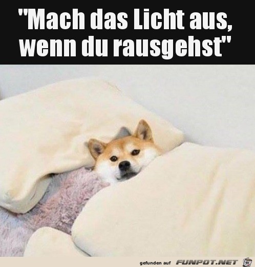 Licht aus Licht aus