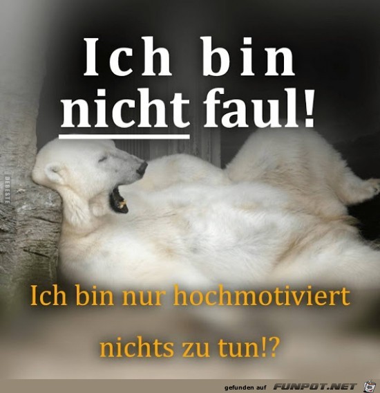 ich bin nicht faul !!....... ich bin nicht faul !!.......